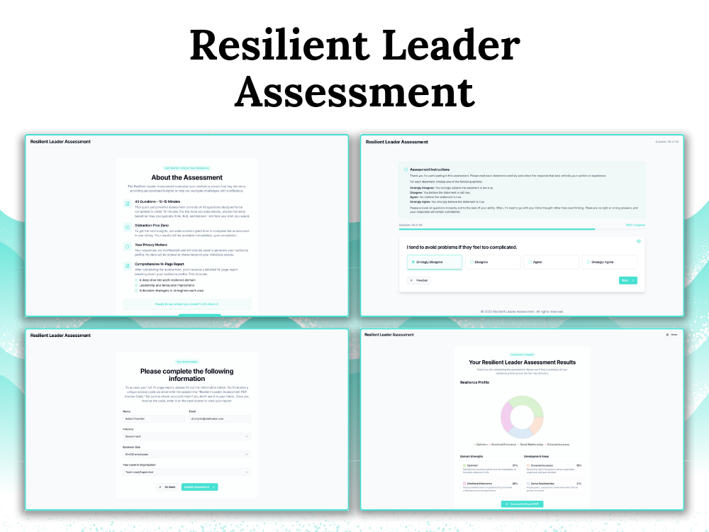 An image of the Resilient Leader Assessment project.